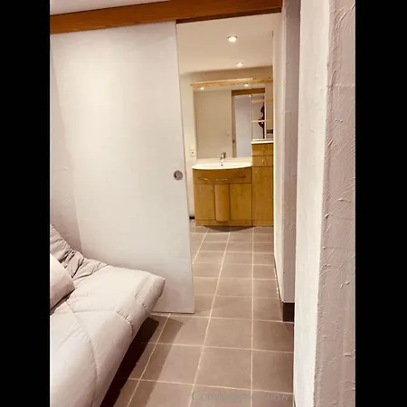 公寓 Lopale Logement Spacieux Cosy